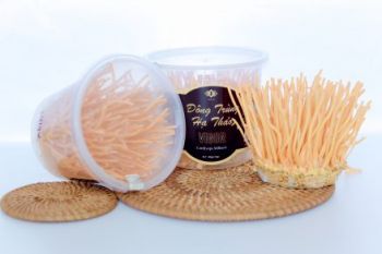 Đông trùng hạ thảo tươi 100gr